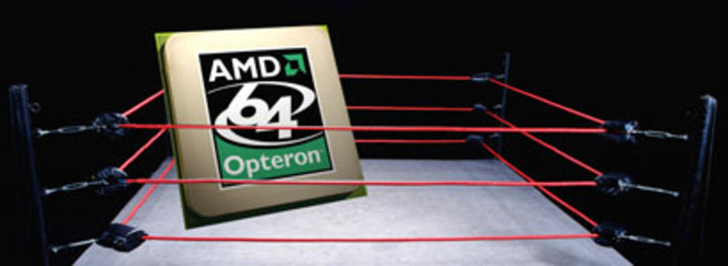 AMD sur un ring