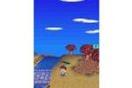 Animal Crossing : Wild World DS (Small)