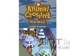 Animal Crossing Wild World Sreenshot 1