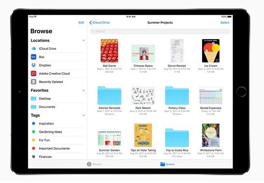 Apple Files iPad