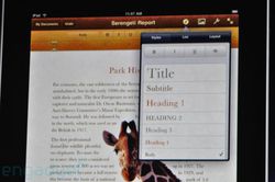 Apple iPad 19