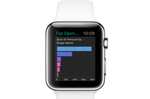 Apple Watch Salesforce 02