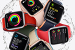 apple-watch-se