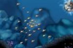 Aquaria - Image 1 (Small)