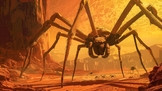 D'où proviennent ces étranges "araignées" repérées sur Mars ?