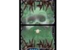 Arthur et les Minimoys Screenshot 1 (Small)