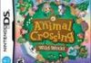 Test Animal Crossing Wild World