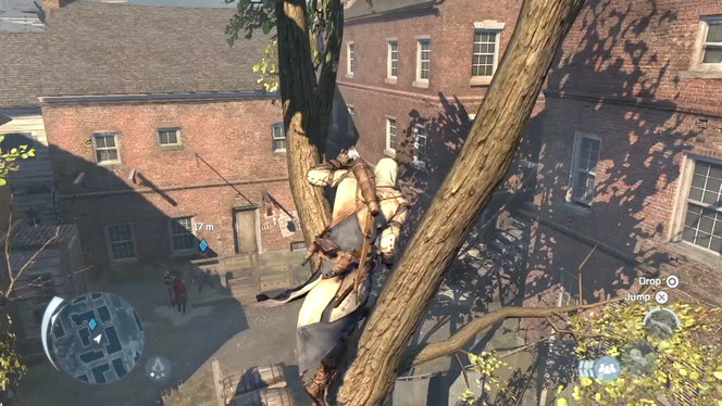 Assassin Creed III - 19