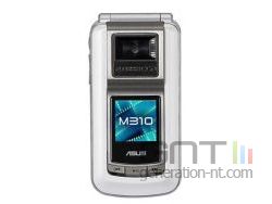 Asus m310 small