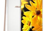 Asus X550