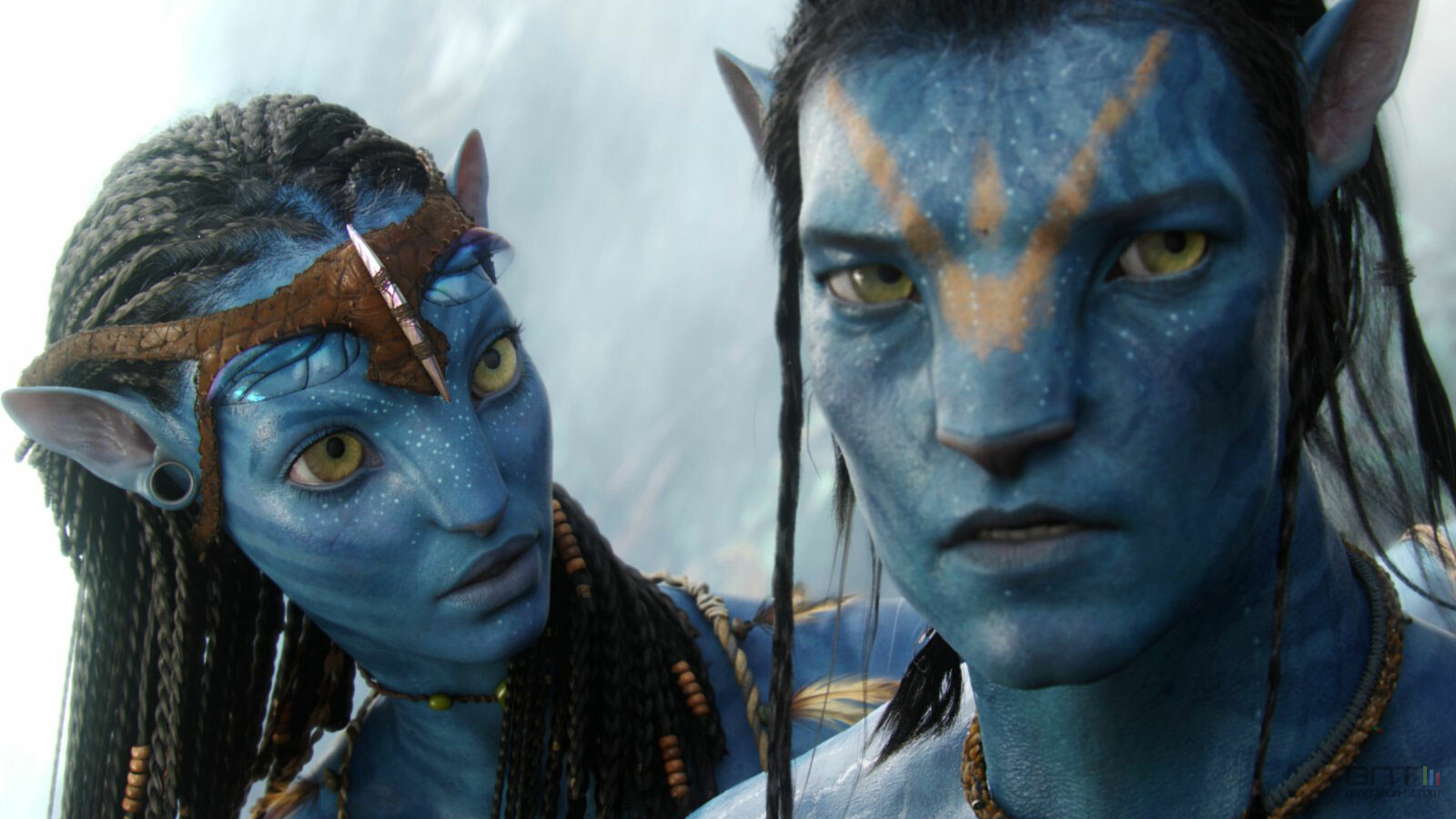 avatar.