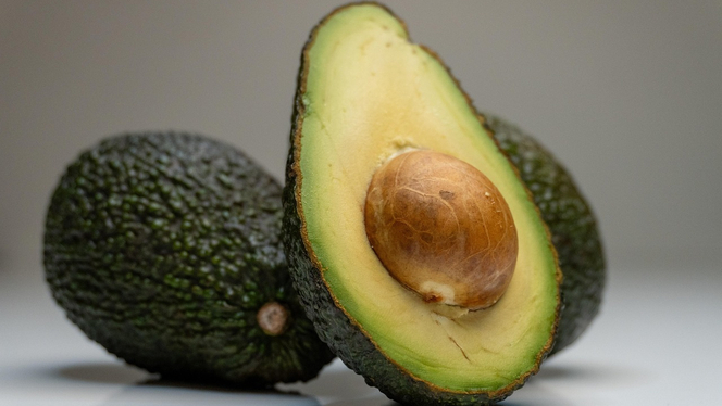 Meta abandonnerait Llama pour Avocado, sa nouvelle IA propriétaire