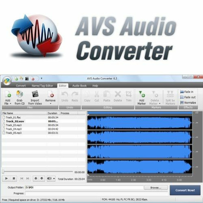 AVS  Audio Converter