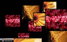 AVS Flying Images : personnaliser son PC avec une cascade d'images
