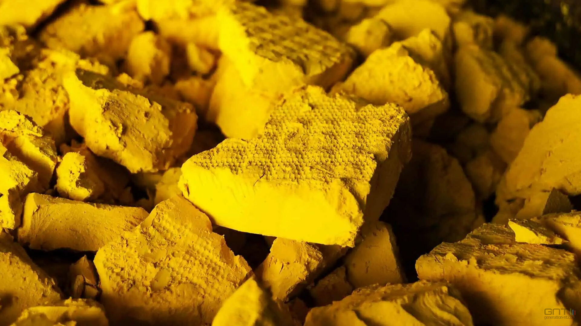 Des bactéries nettoient 96% de l'uranium d'une mine inondée