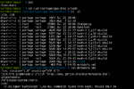 Bash