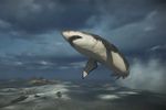 Battlefield 4 Naval Strike - Megalodon