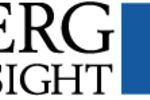 Berg Insight Logo