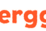 berggi-logo.png