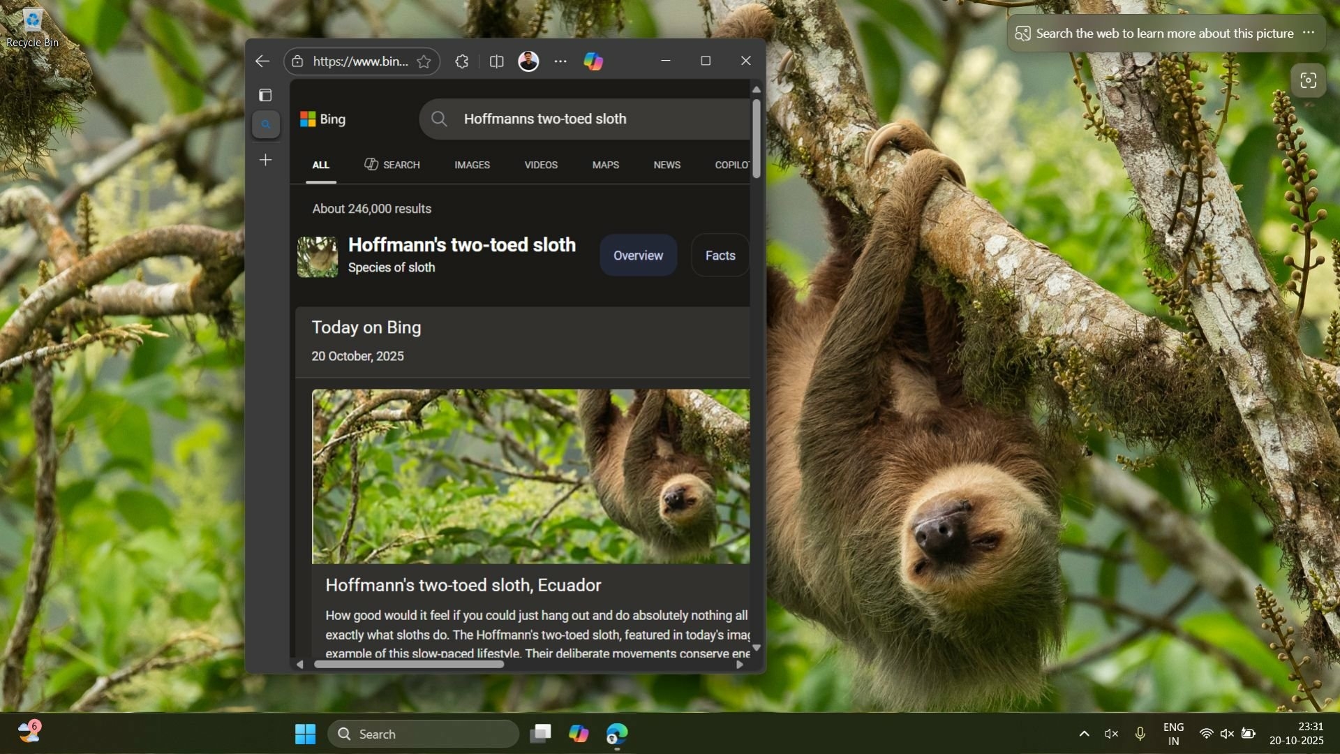 Bing Wallpaper 0