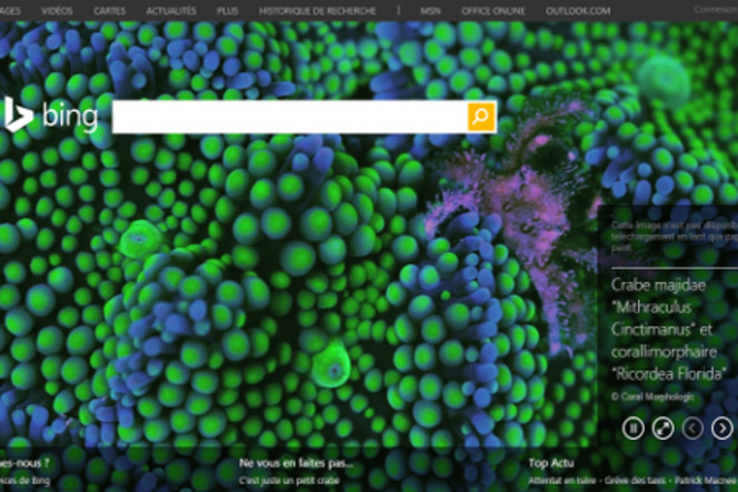Jouer à Snake dans Microsoft Bing