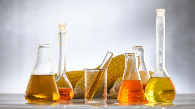biocarburant biochimie agriculture