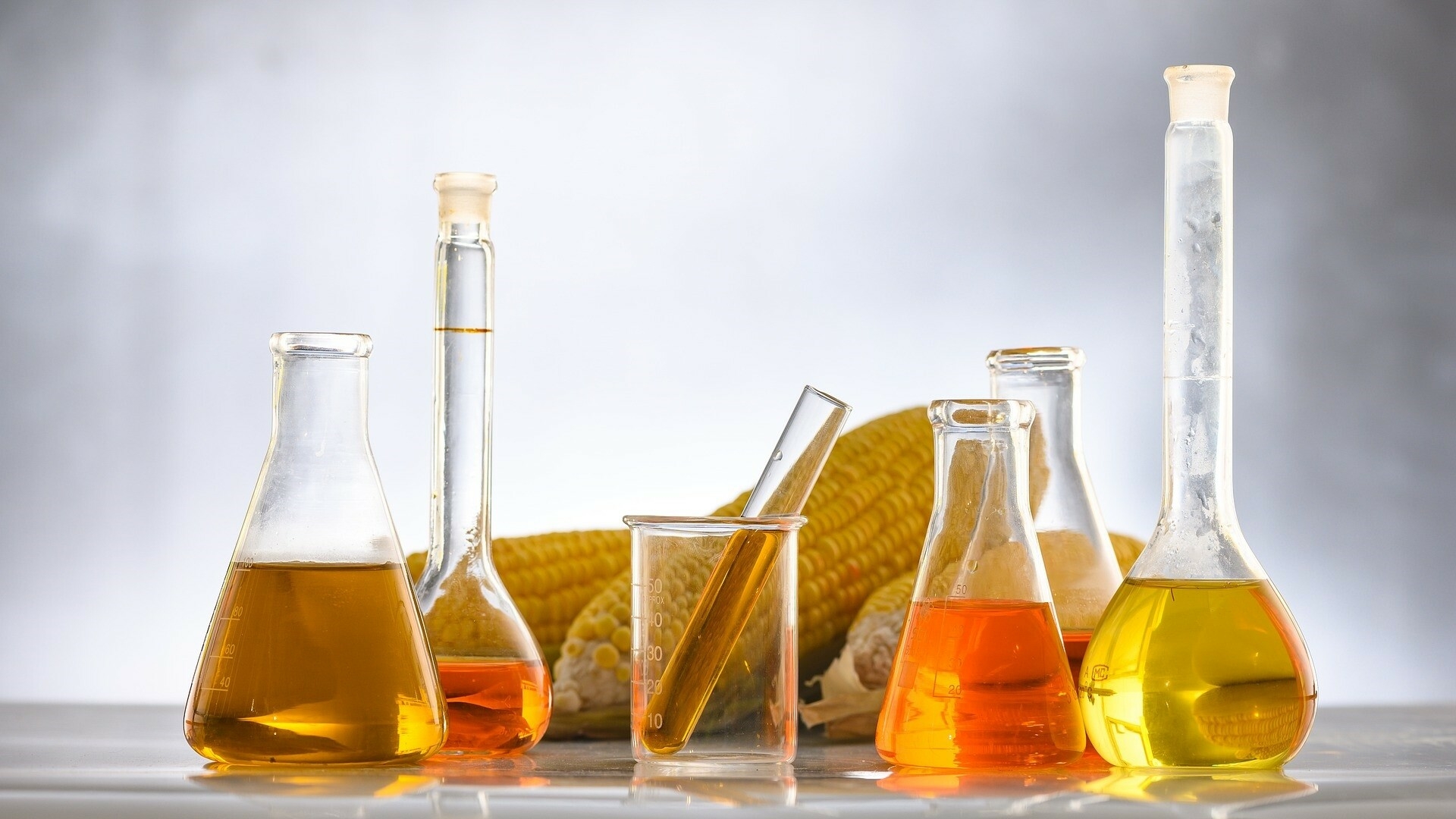 biocarburant biochimie agriculture