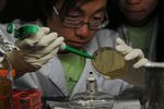 Biostockage étudiants chinois
