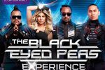 Black eyed peas experience