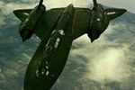 Blackbird