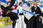 Bleach Heat the Soul 5 - Artwork