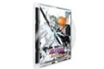 Bleach Wii (Small)