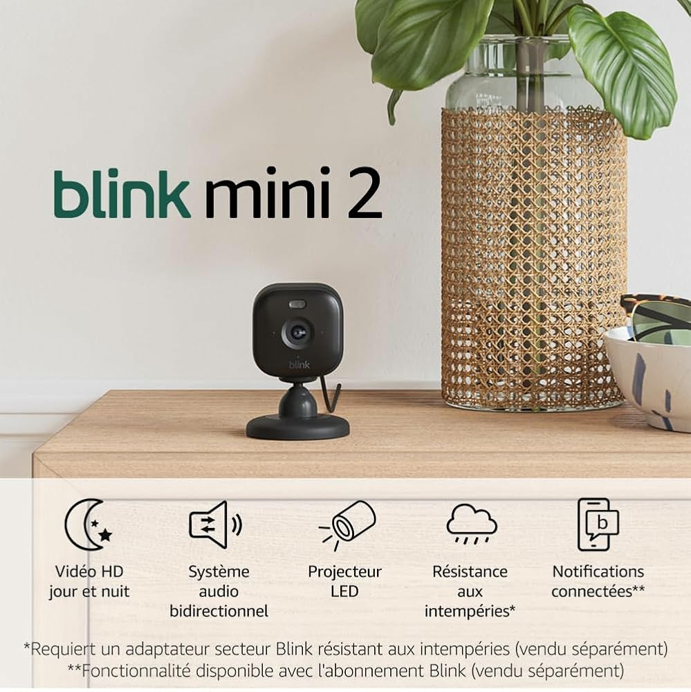 Blink Mini 2