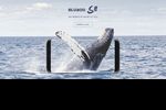 Bluboo S8 02