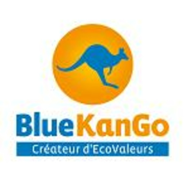 BlueKanGo logo pro