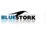 Bluestork logo (Small)