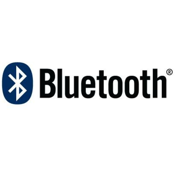 Bluetooth mini