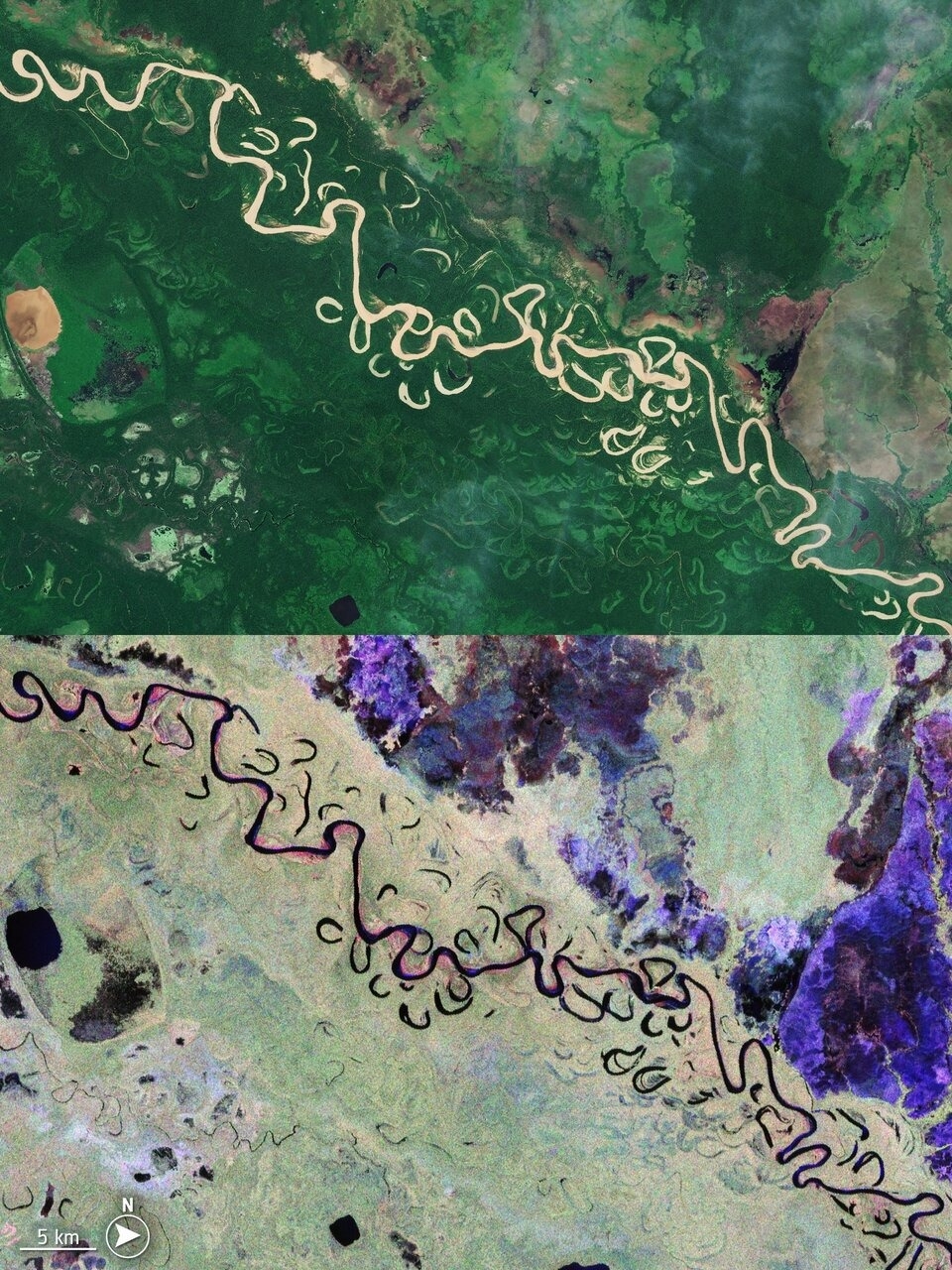 Bolivie-fÃ´ret-biomass