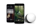 bolt misfit 1