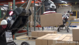 Boston Dynamics : le robot Handle repensé pour la manutention