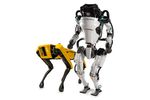 boston-dynamics-spot-atlas