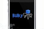 Bulkyapps logo pro