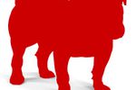 BullGuard