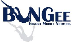 BuNGee logo