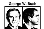 Bush