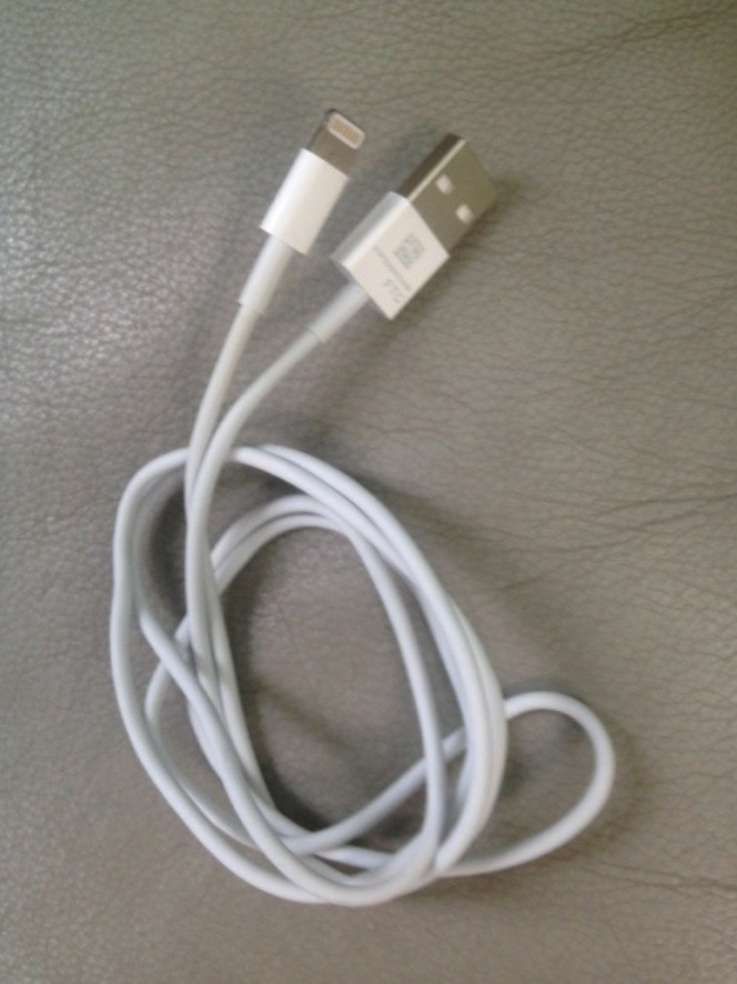 Câble Lightning iPhone 5.