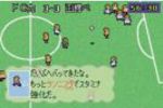 Calciobit (Small)