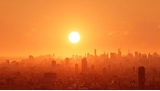 Canicule en Europe : Le changement climatique à l'origine de 1500 morts directes !