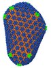 capside HIV sida