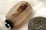 capsule robot